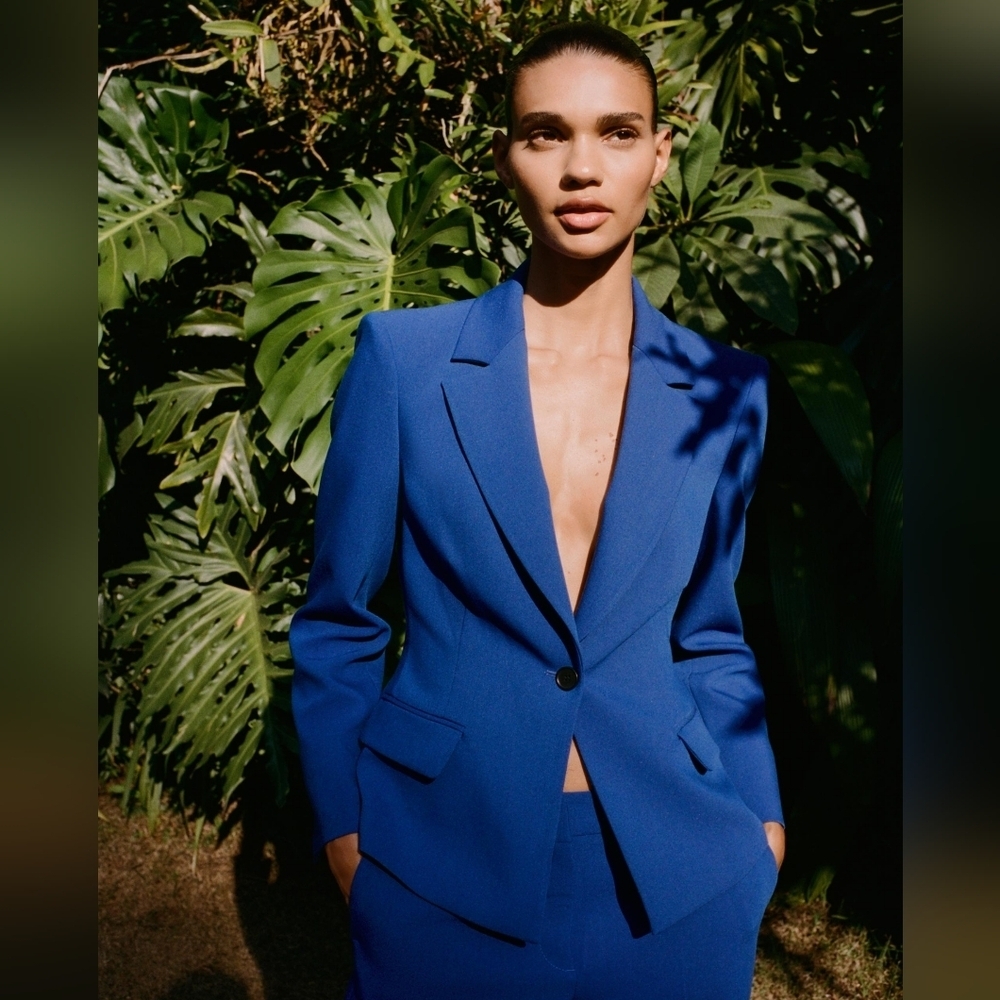 Zara Single Breasted Blazer Size L Royal Blue Cobalt